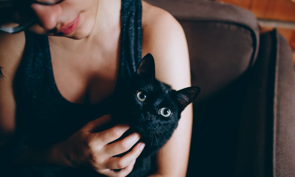 significado espiritual do gato preto