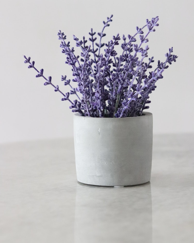 vaso lavanda