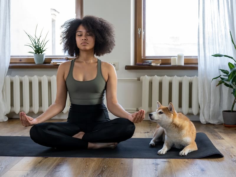 mulher meditando com cachorro do lado