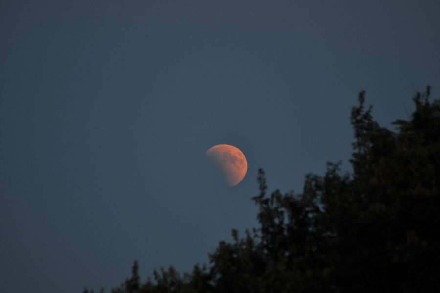 lua de sangue