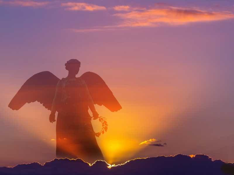 anjo da guarda