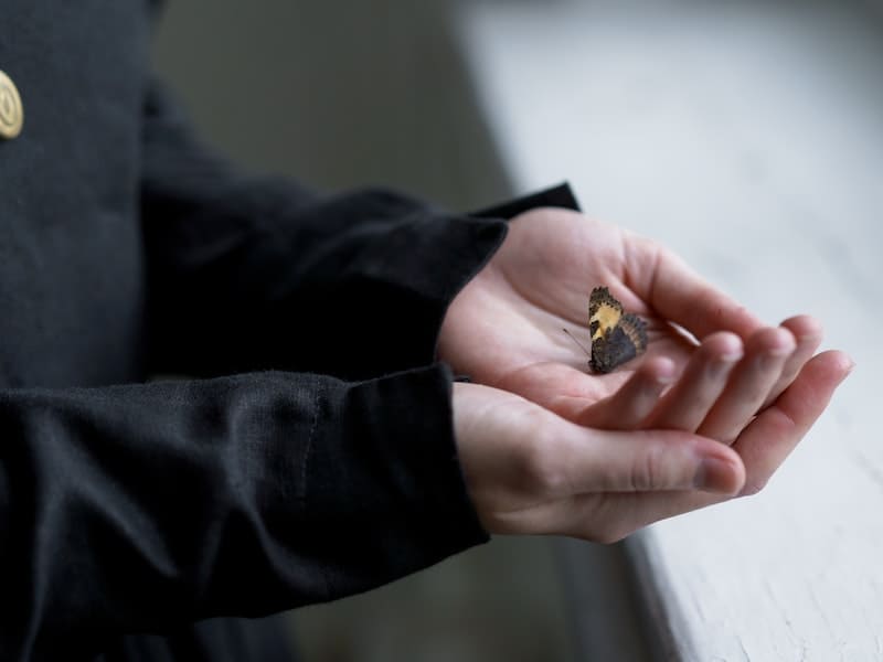 Significado espiritual da borboleta preta