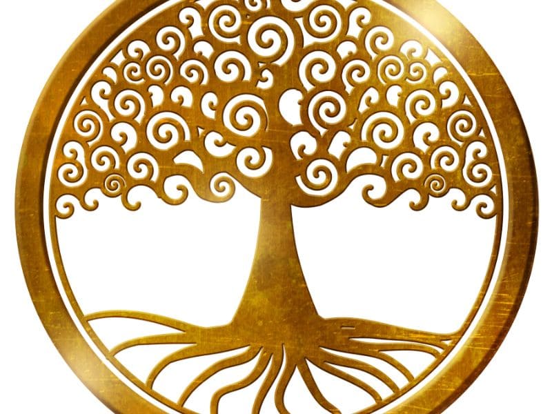 significado espiritual da arvore da vida