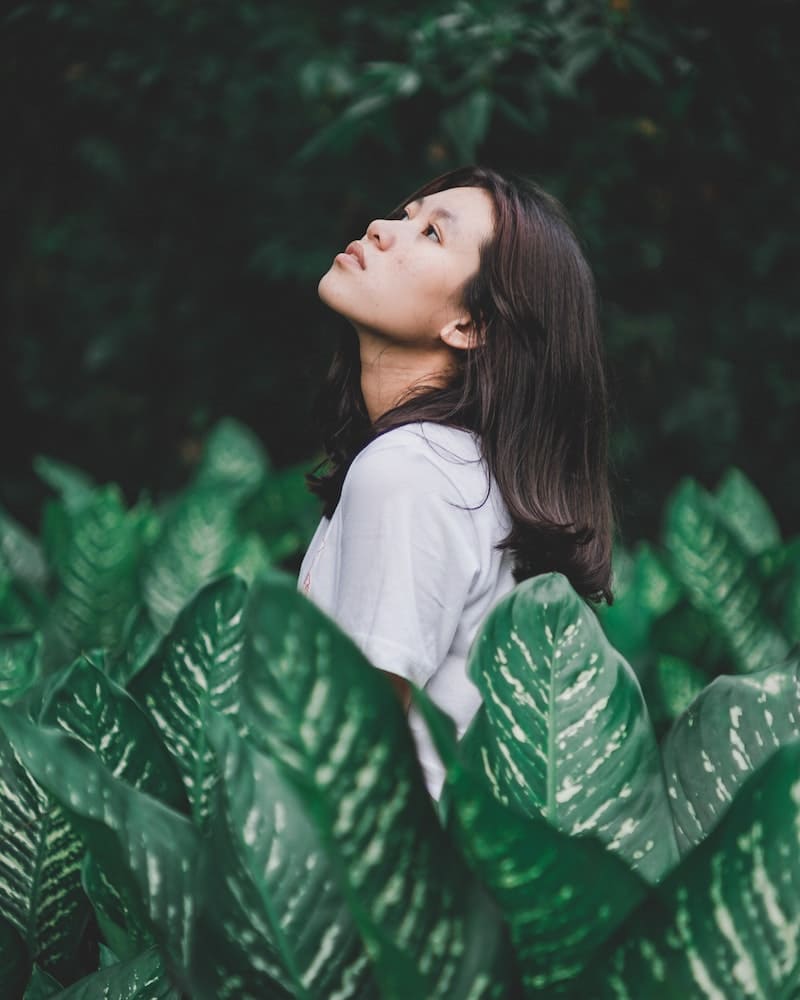 significado espiritual da planta comigo ninguem pode