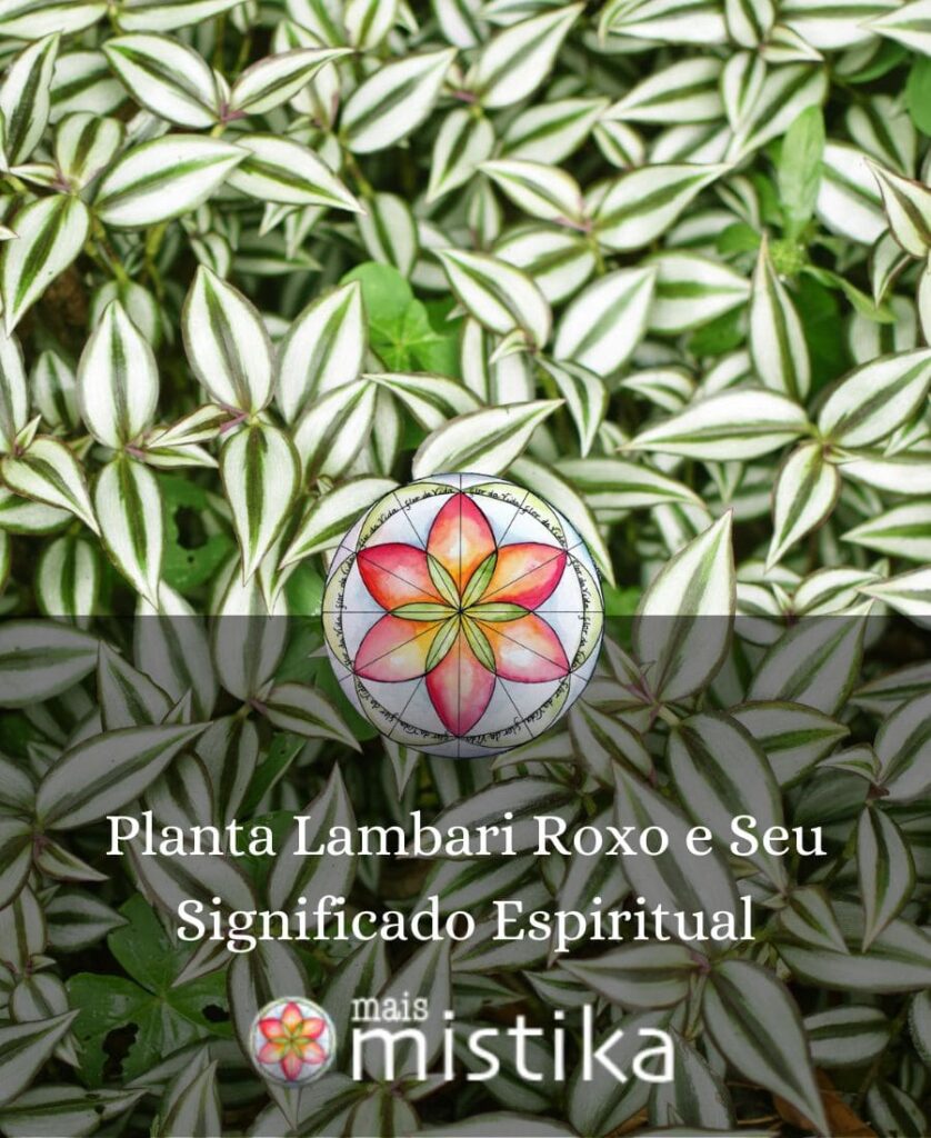 Planta Lambari Roxo Significado Espiritual