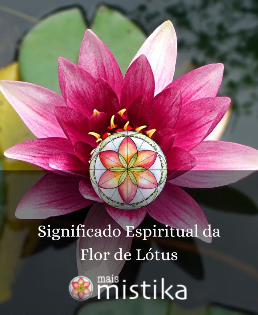 flor de lótus significado espiritual